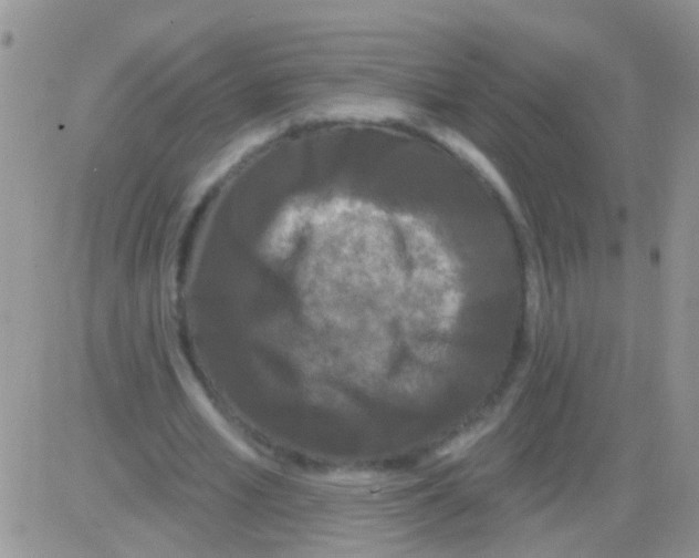 X0000082710581200702232258