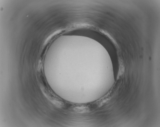 X0000082710583200702232258