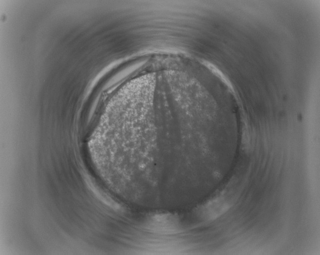 X0000082710584200702232258