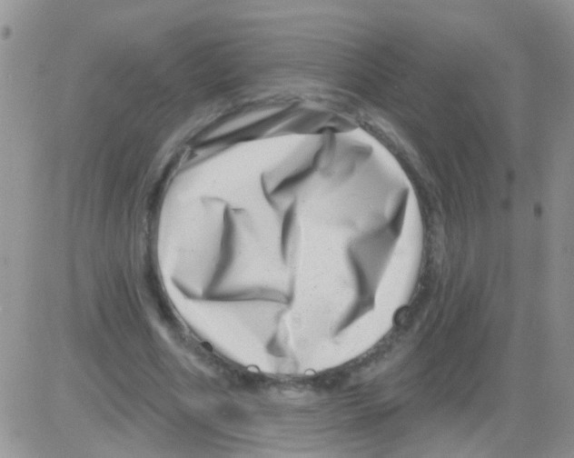 X0000082710586200702232258