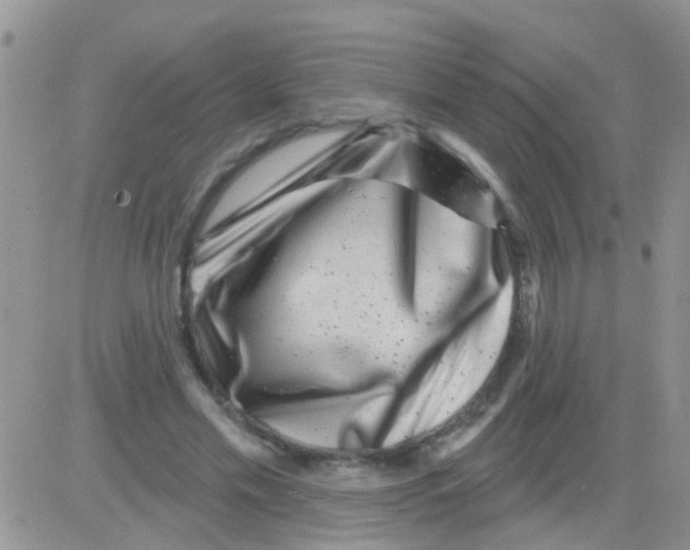 X0000082710589200702232258