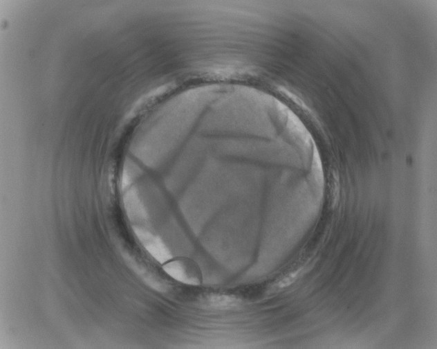 X0000082710590200702232258