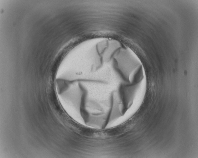 X0000082710591200702232258