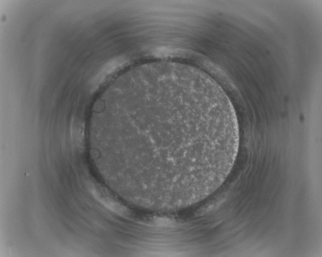 X0000082710592200702232258