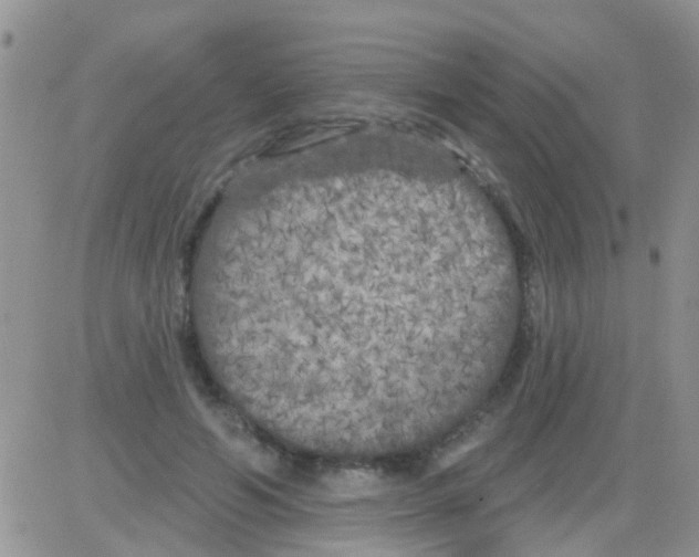 X0000082710594200702232258