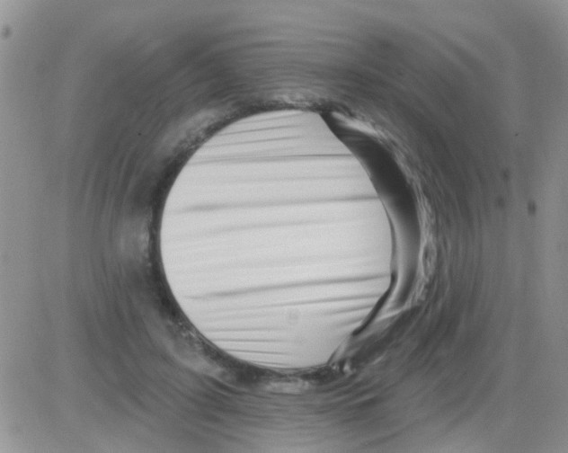 X0000082710595200702232258