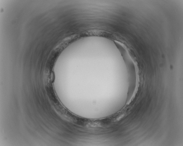 X0000082710599200702232258