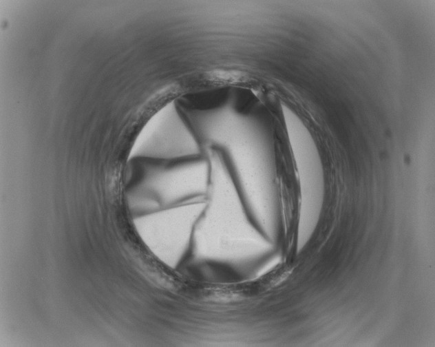 X0000082710601200702232258