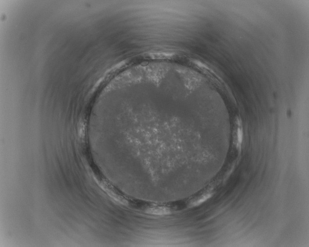 X0000082710604200702232258