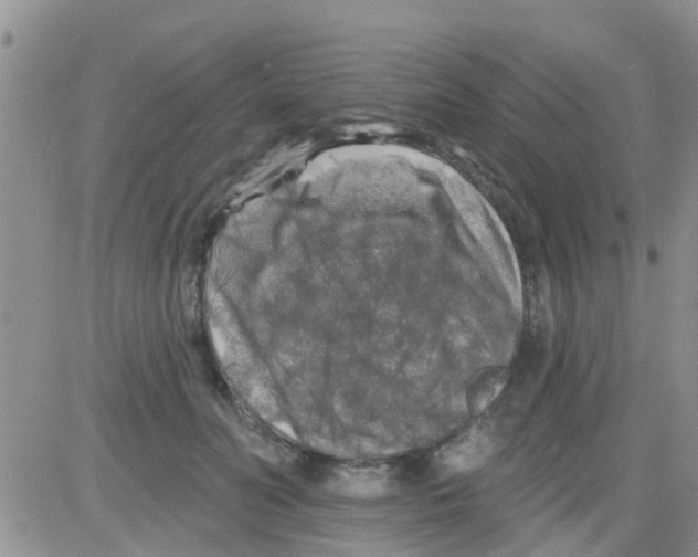 X0000082710606200702232258