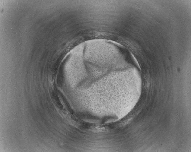 X0000082710607200702232258