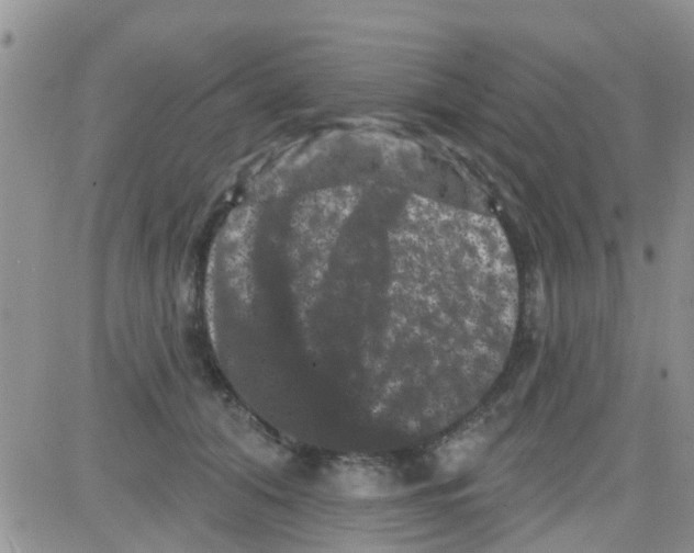 X0000082710608200702232258