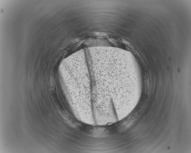 X0000082710609200702232258