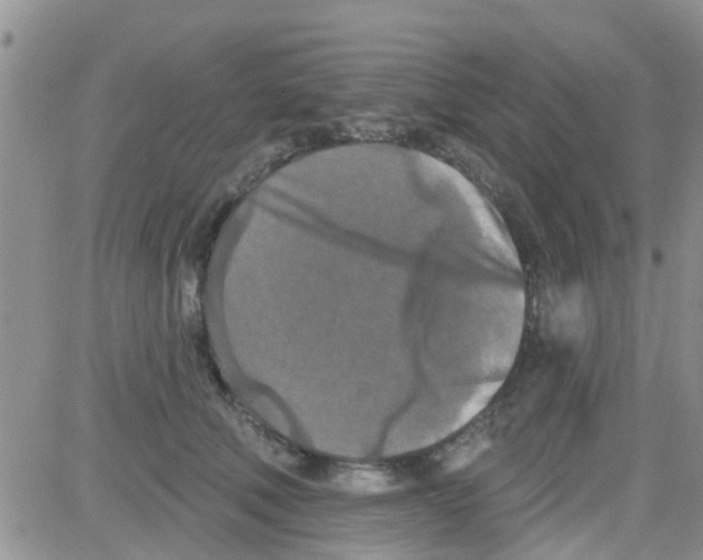 X0000082710610200702232258