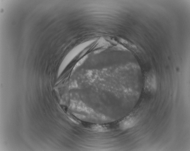 X0000082710616200702232257