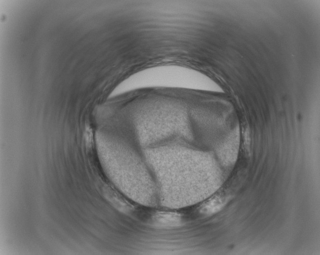 X0000082710617200702232257