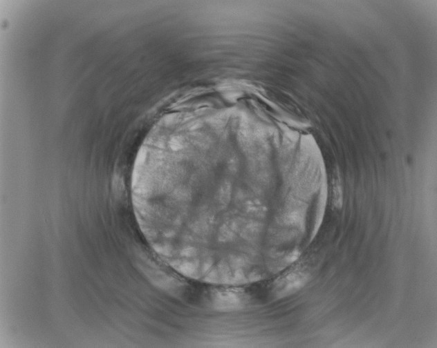 X0000082710618200702232257