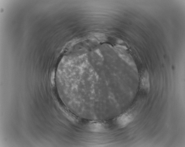 X0000082710620200702232257