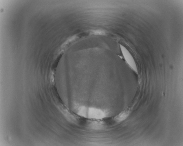 X0000082710621200702232257