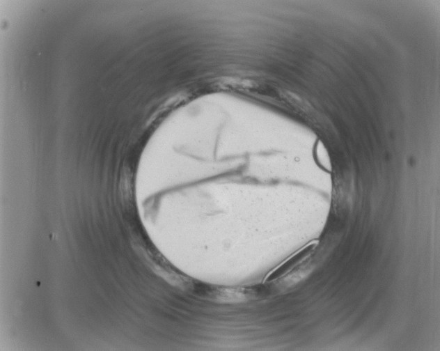 X0000082710623200702232257