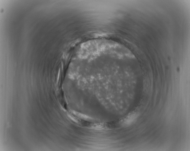 X0000082710624200702232257