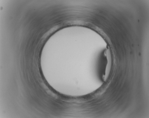 X0000082710625200702232257