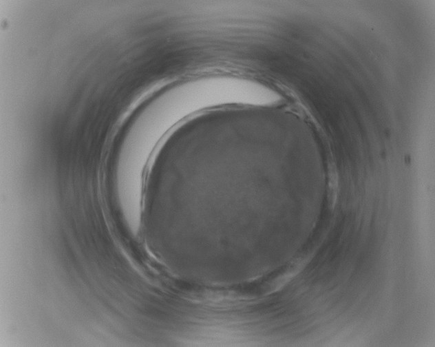 X0000082710626200702232257