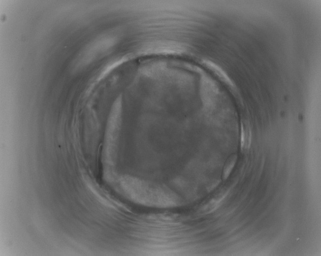 X0000082710627200702232257