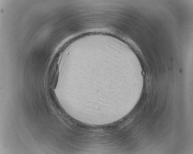 X0000082710628200702232257