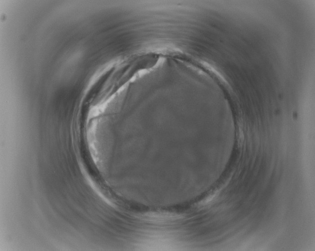 X0000082710630200702232257