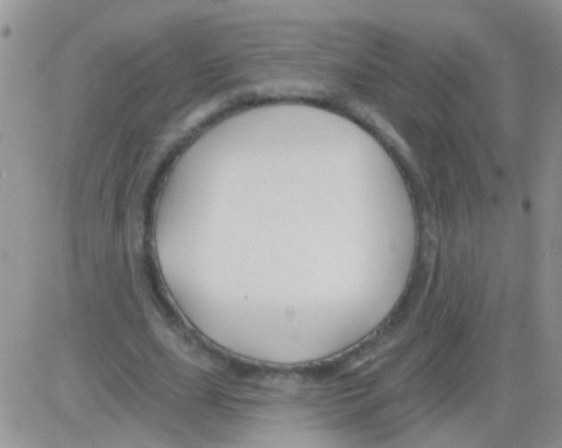 X0000082710631200702232257