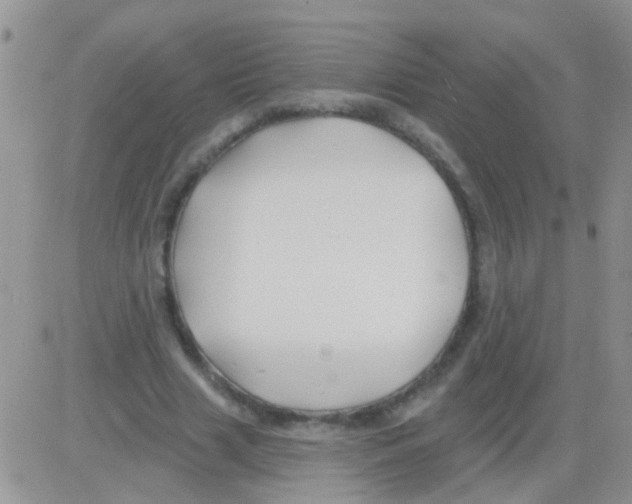 X0000082710633200702232257