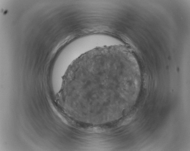 X0000082710634200702232257