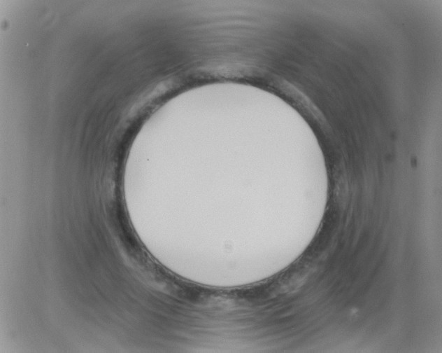 X0000082710635200702232257