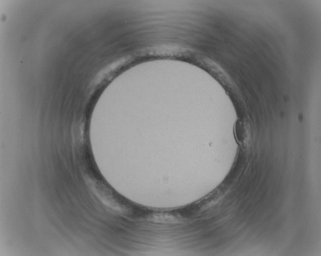 X0000082710636200702232257