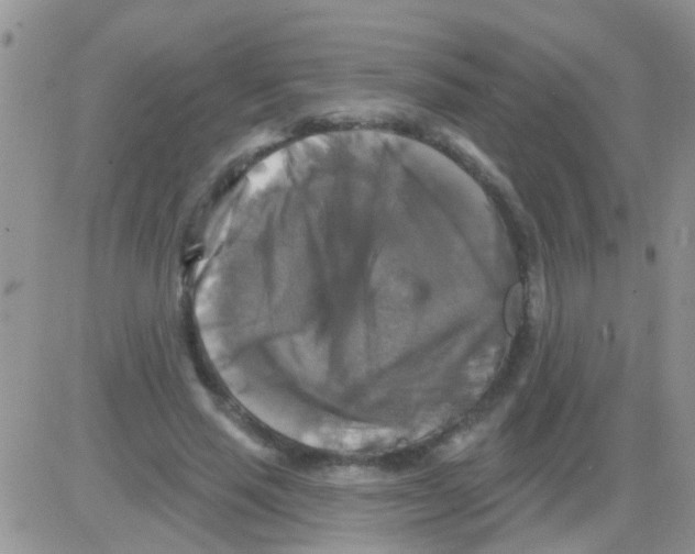 X0000082710637200702232257