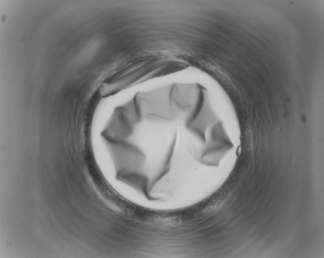 X0000082710638200702232257