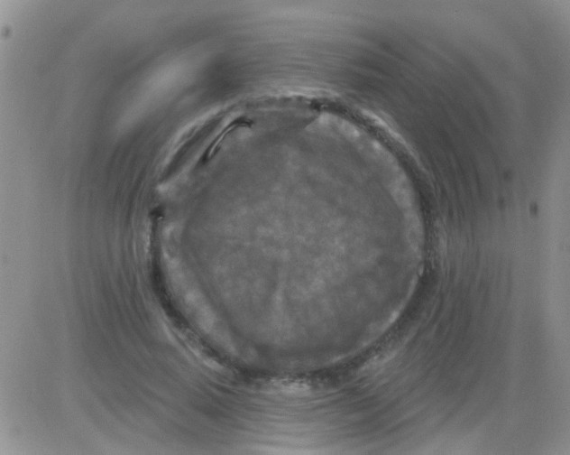 X0000082710640200702232257