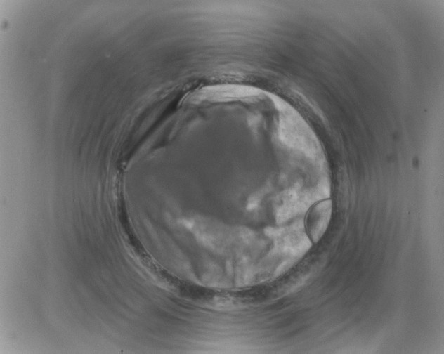 X0000082710641200702232257