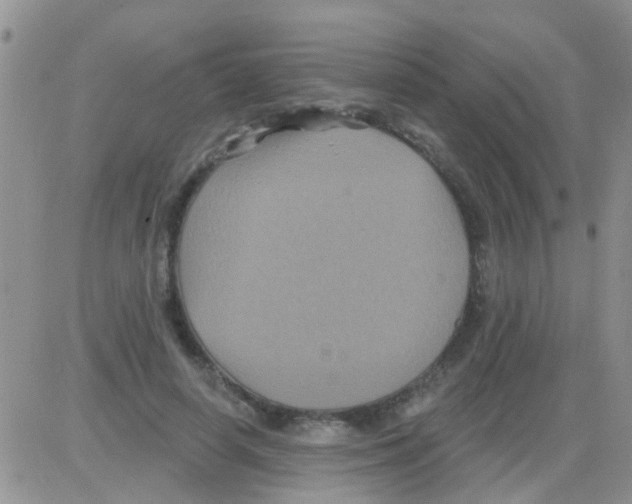 X0000082710642200702232257