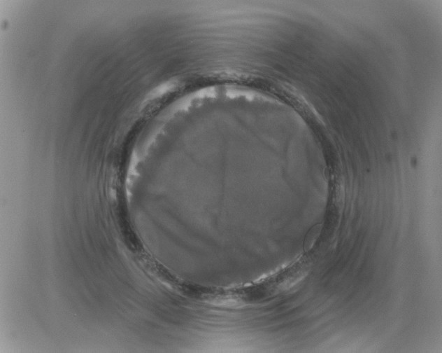 X0000082710643200702232257