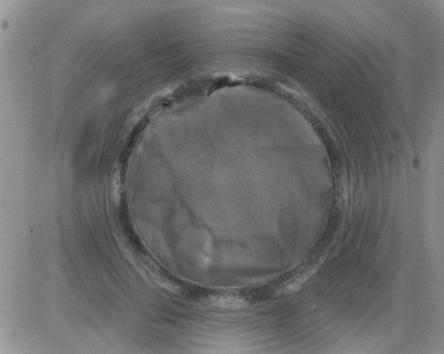 X0000082710644200702232257