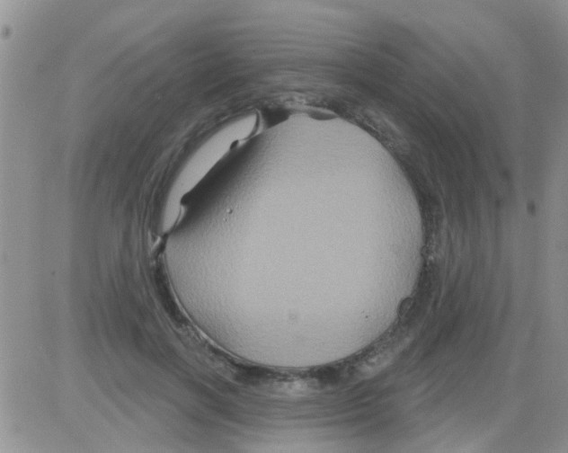 X0000082710646200702232257