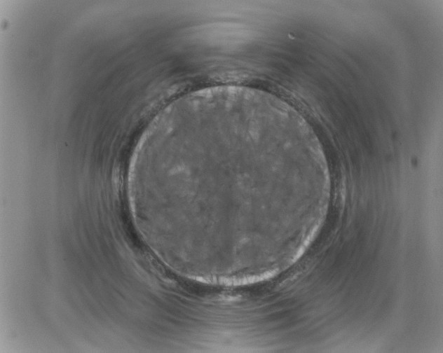 X0000082710647200702232257