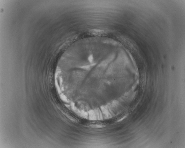 X0000082710653200702232257