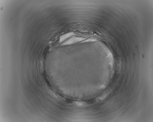 X0000082710654200702232257