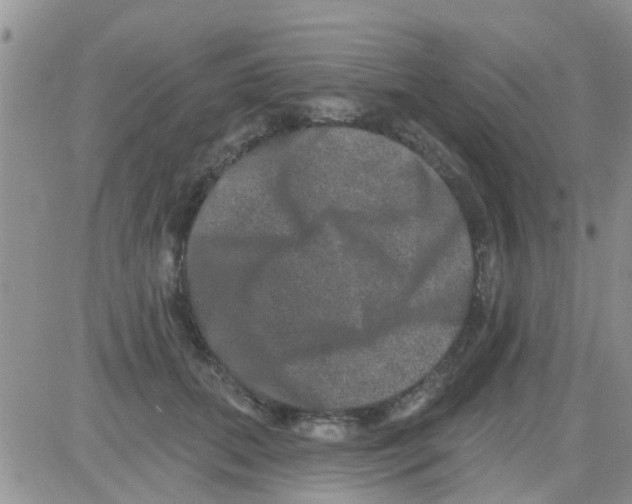 X0000082710655200702232257