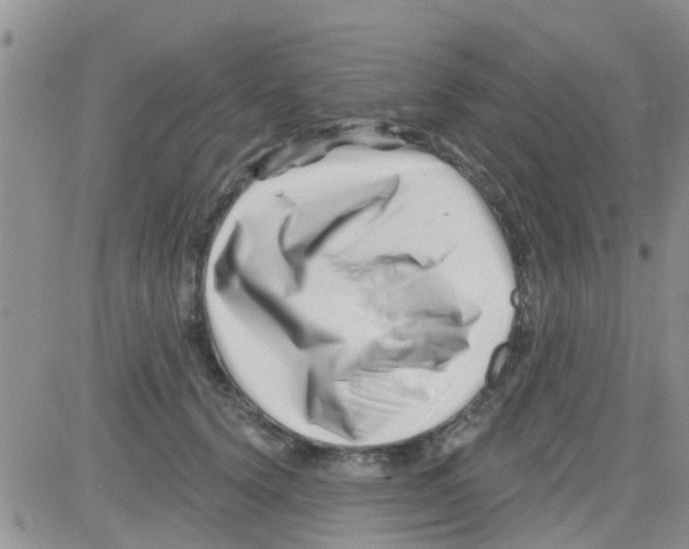 X0000082710656200702232257