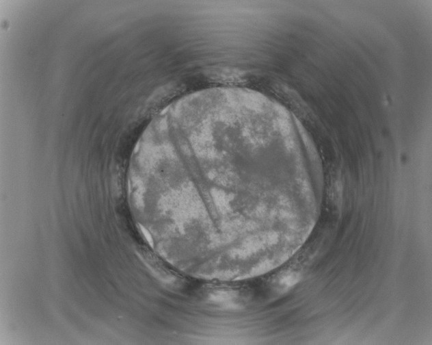 X0000082710658200702232257