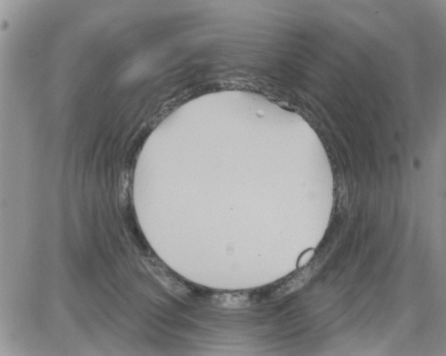 X0000082710660200702232257